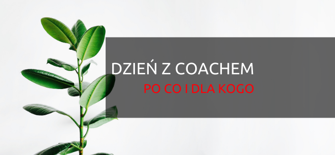 dzień z coachem z perspektywą